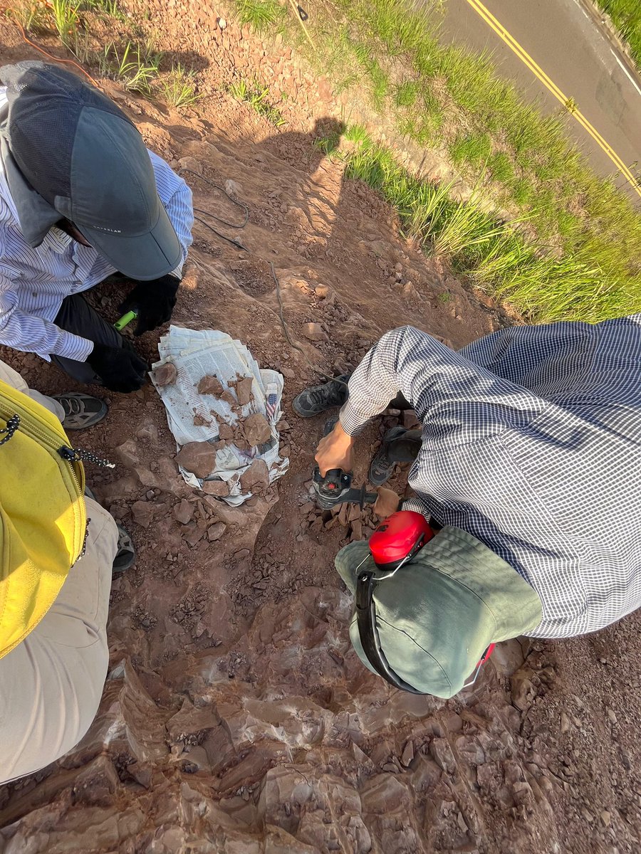 The  2025 MacroPaleo Lab field season is off to a great start with lots of bivalves and some promising bones 🦴 #paleontology #fieldwork
