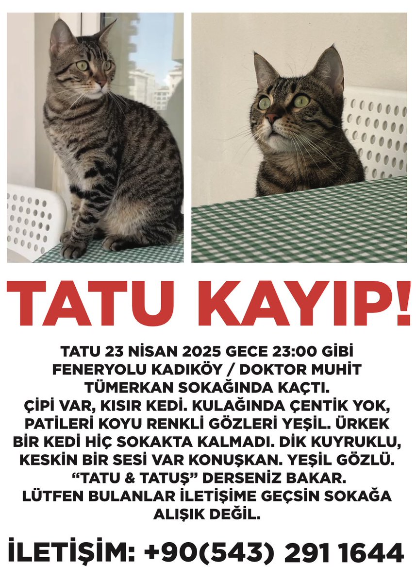 Ya benim canım çok yanıyor.