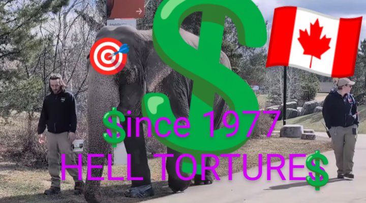 JulieKi53713414's tweet photo. @Missymaizey89 @LegAssemblyofAB @DanieleSmithAB @NateHornerAB @ethics_centre @GlobalEdmonton @edmontonjournal @BrianJeanAB @EdmontonChamber @ExploreEdmCo @whereedmonton @DailyHiveYEG @HumanimalP27483 @mikkimouse00 @BezirganMocha @humaneworldcan @aeladvocacy @abvma EVIL #ouryeg #yeg #yegzoo...

ALL as Dr Patricia London &amp; Ingo Schmidinger BOTH URGE Lucy CAREFULLY be transferred to 🇺🇸 @ElephantsTN ASAP ‼️ https://t.co/KawwwLWJXj