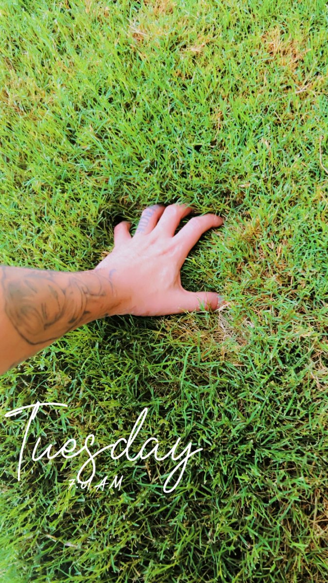 Ok did my weekly check list now back to keys. Maybe 3400 this week