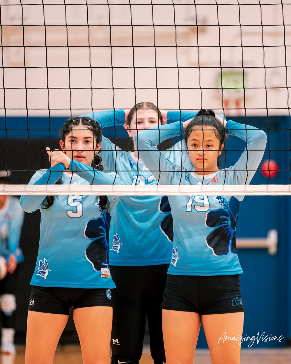 NewJerseySets's tweet photo. When we build the brand we always envisioned it to be bigger than just hoops. officially putting the SETS in New Jersey Sets. Volleyball jerseys are ready to go. so send us teams you know our way! https://t.co/WaxGAoJG32
