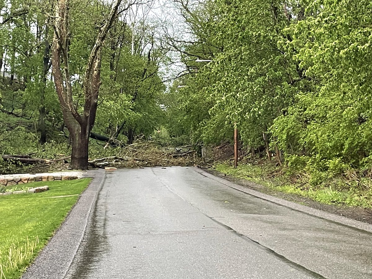 rutkap75's tweet image. Looking nice out by my house today….