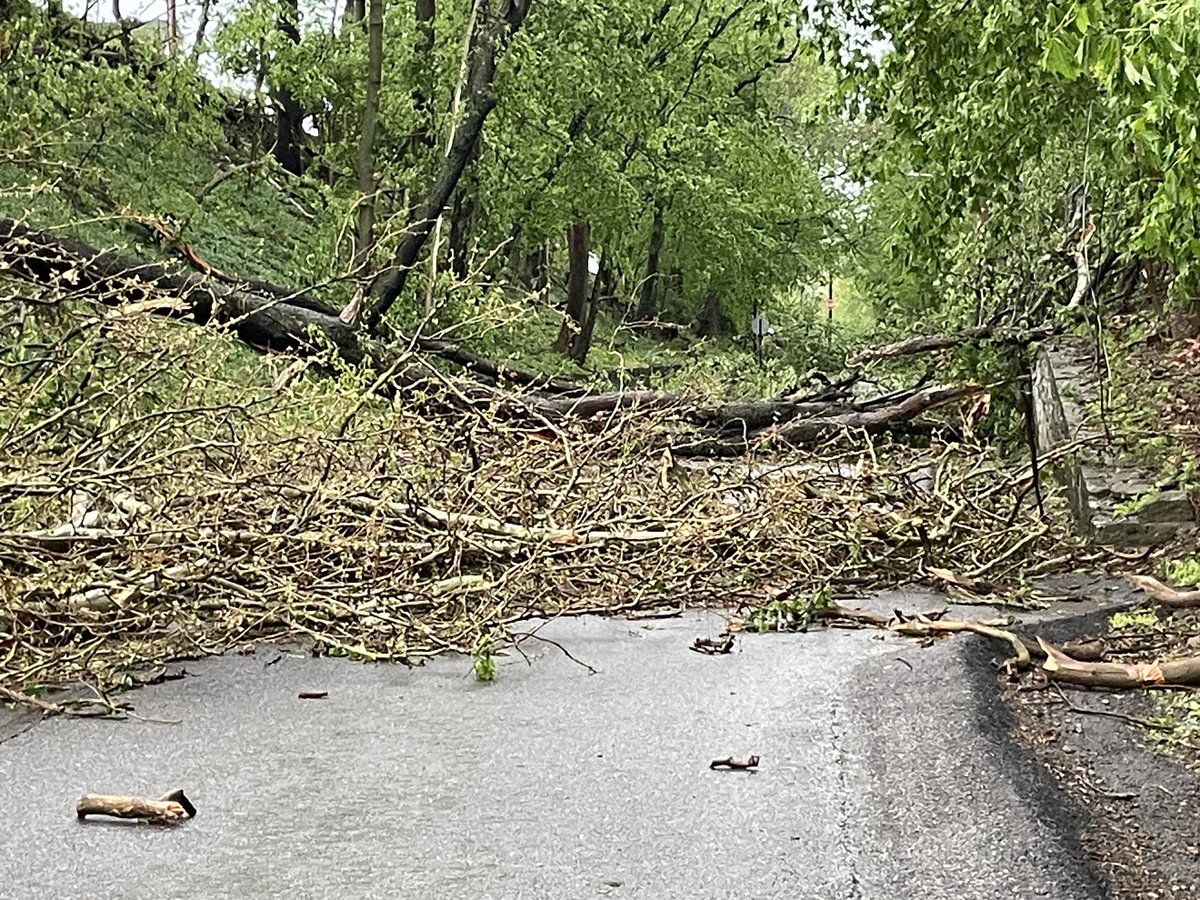 rutkap75's tweet image. Looking nice out by my house today….