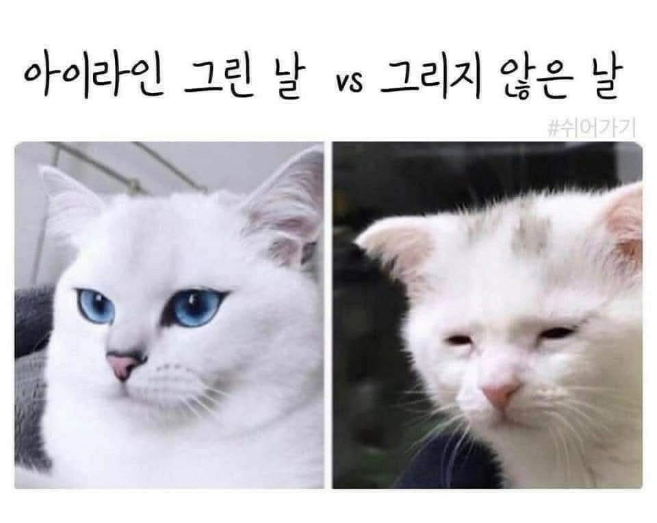 LEMIN79's tweet image. ㅋㅋㅋ