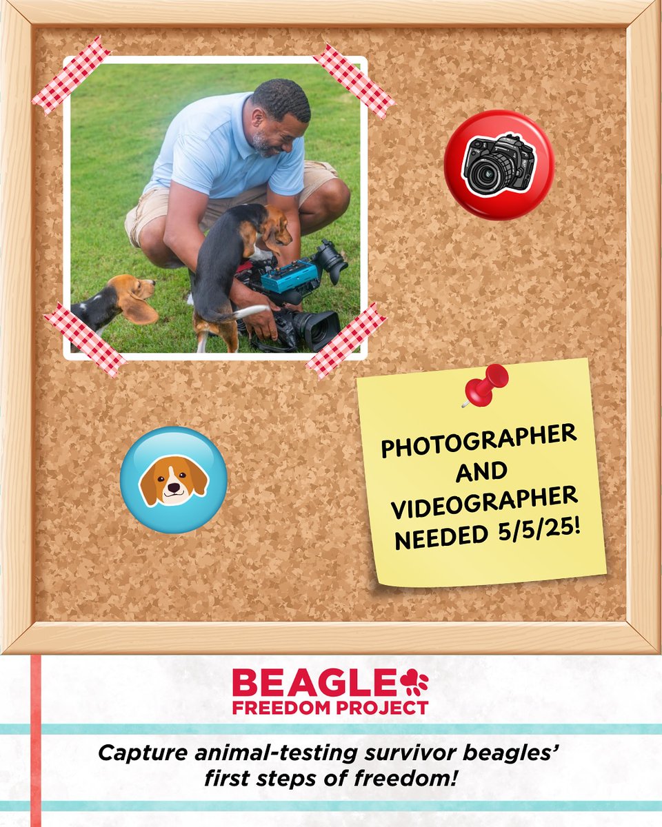 Beagle Freedom Project tweet media