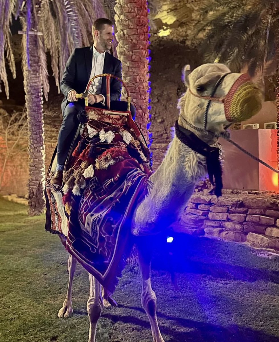 @MysterySolvent tweet media