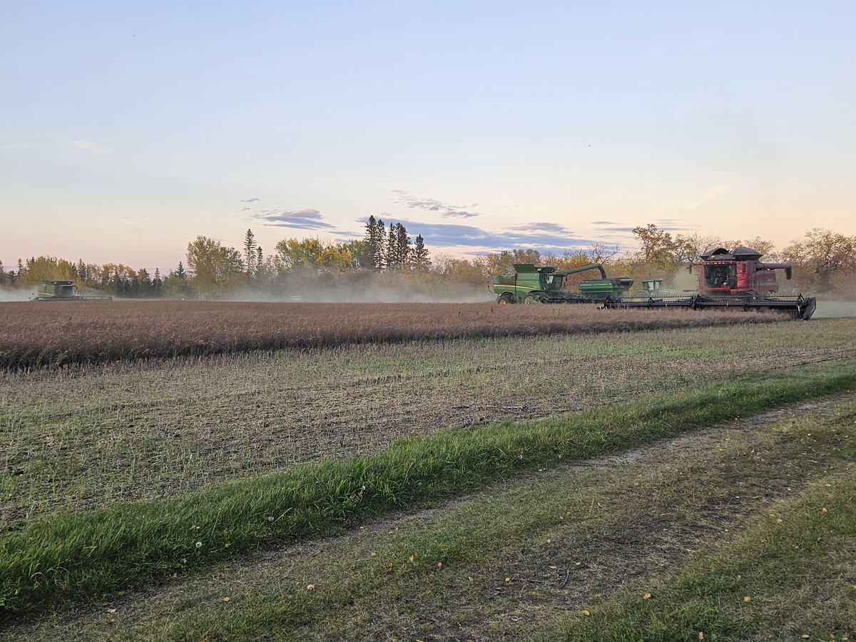 Mackenzie Research tweet media