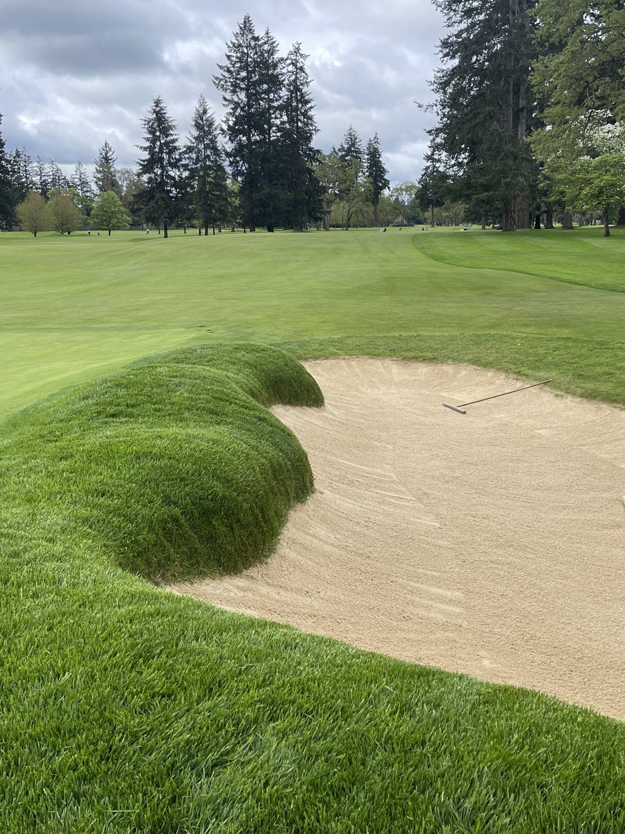 Always busy @ TCGC. Most of the crew out trimming/fly mowing bunkers as we prepare for the WA Open next week. Very labor intensive but the crew does an amazing job. Bunker supervising me, as I finish up spraying fairways.