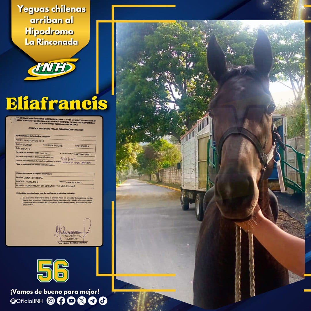 ALMAROSO tweet media