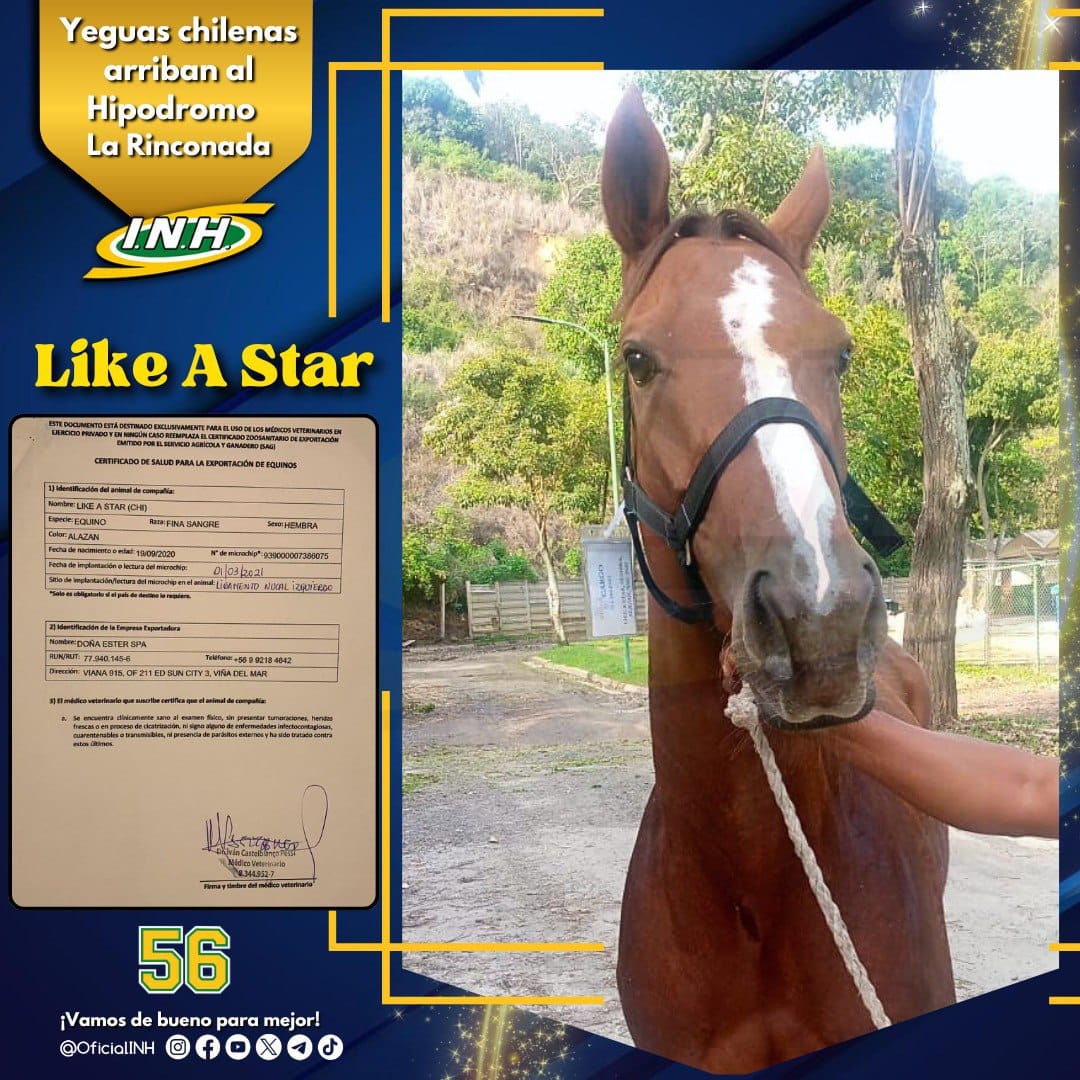 ALMAROSO tweet media