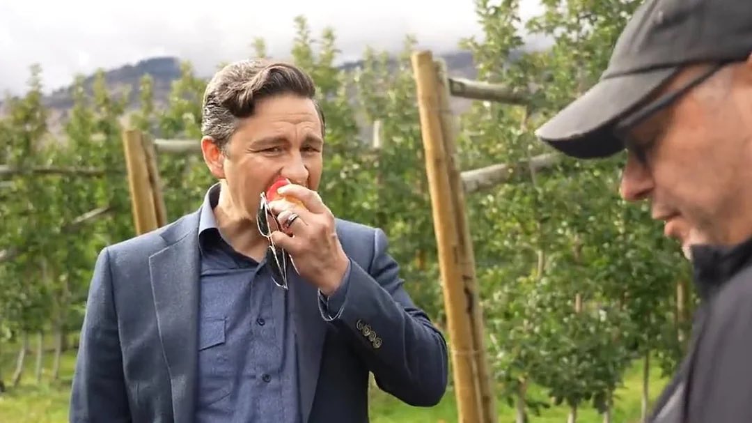 Noted Americanophile Pierre Polilievre forced to wait politely in line to ride Donkey of Shame after losing Power, Position, and House.