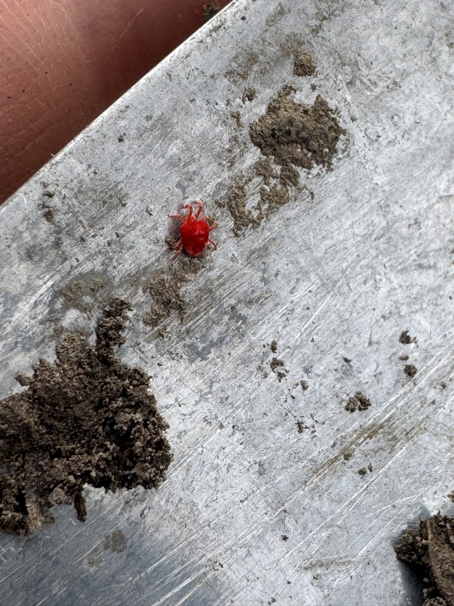 Jessica Runge tweet media