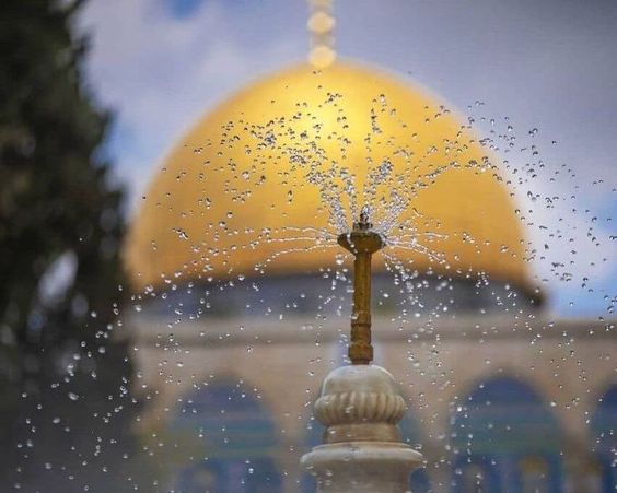 The horizon in Palestine is painted with perseverance.