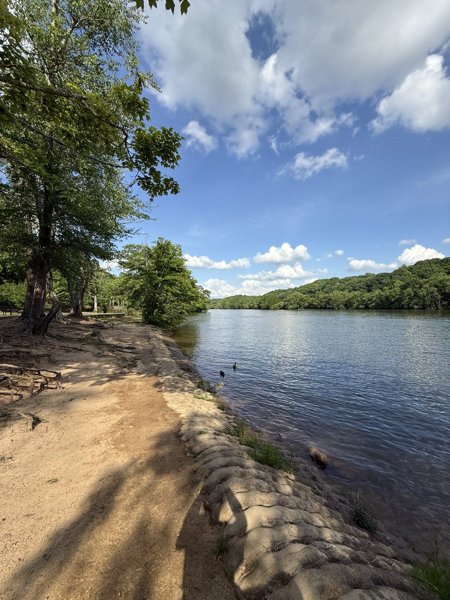 Today I walked 15k steps at Azalea park in Roswell Georgia