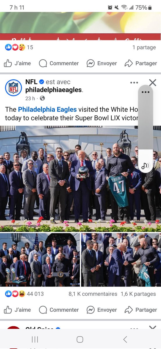 🏴‍☠️🏴‍☠️Patriots fan in the Dome (@patriotsquebec) on Twitter photo 