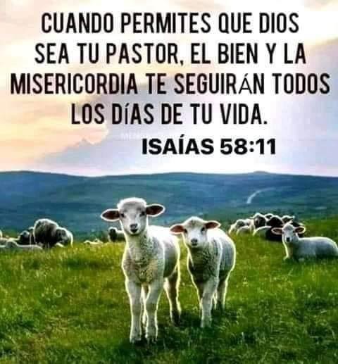 ViralDevocional's tweet photo. Título: "¡Dios es mi luz y salvación! 🌟✝️"

Descripción: Enciende tu fe con la luz divina que te guía en todo momento. Confía en que Dios es tu salvación y nunca te abandonará. "El Señor es mi luz y mi salvación, ¿a quién temeré? El Señor es el baluarte de mi vida, ¿quién pod... https://t.co/yK0QV7mDlP