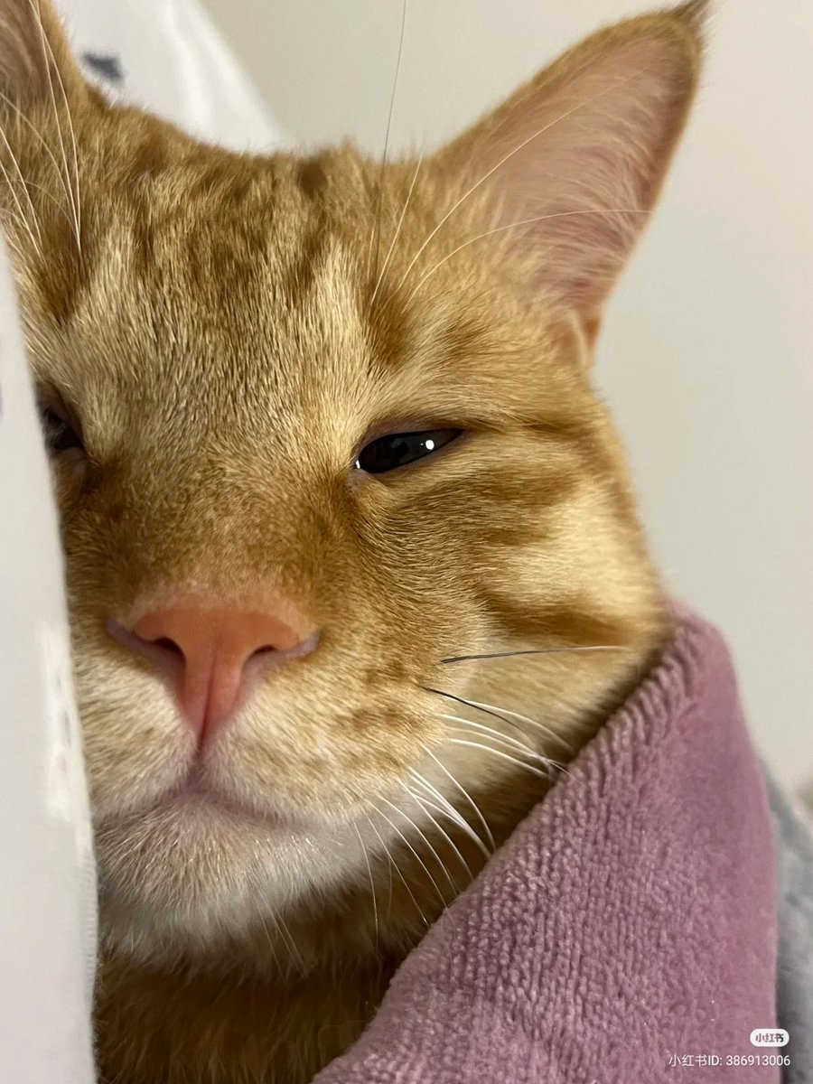 Eepy
