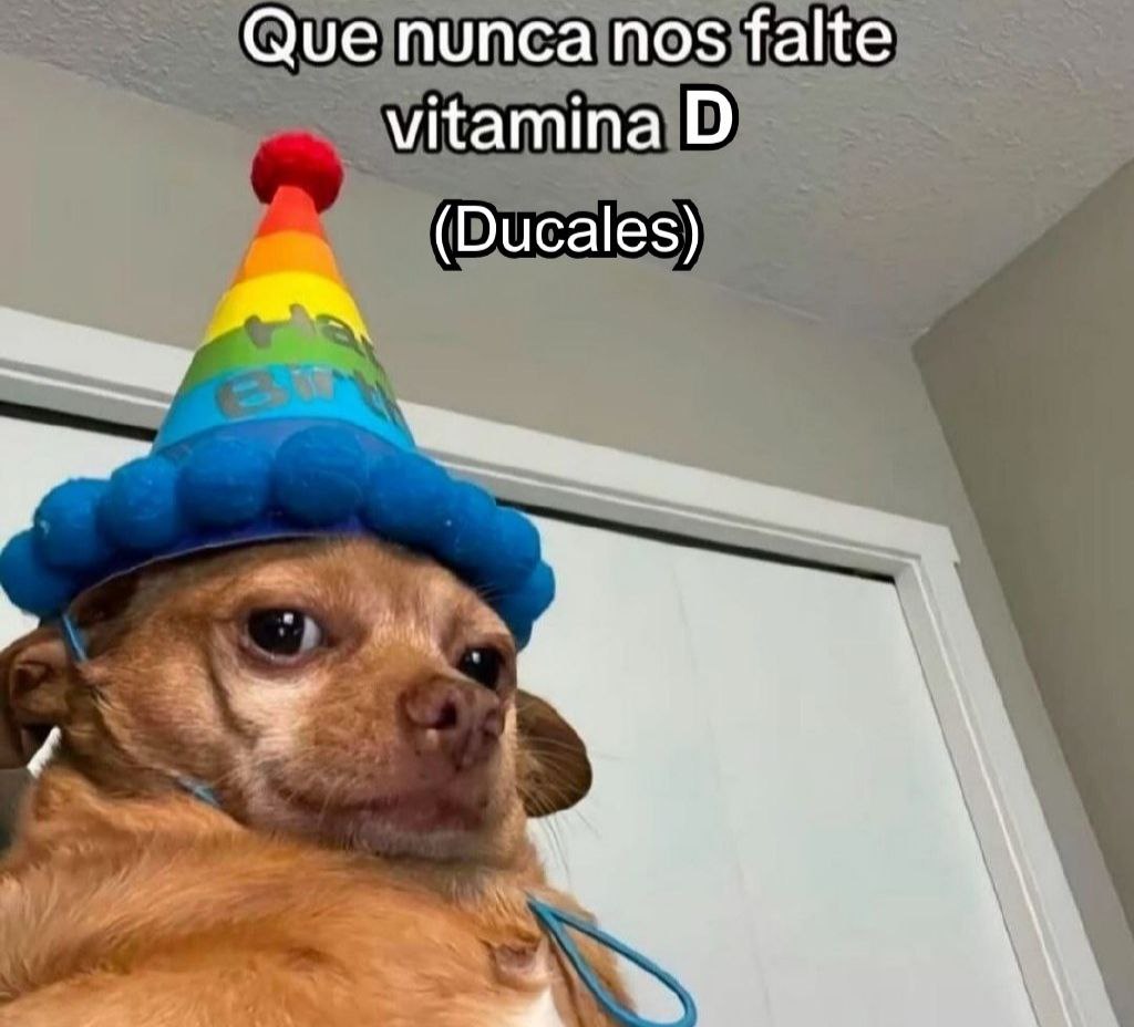 Ducales (@ducalesesmagia) on Twitter photo 