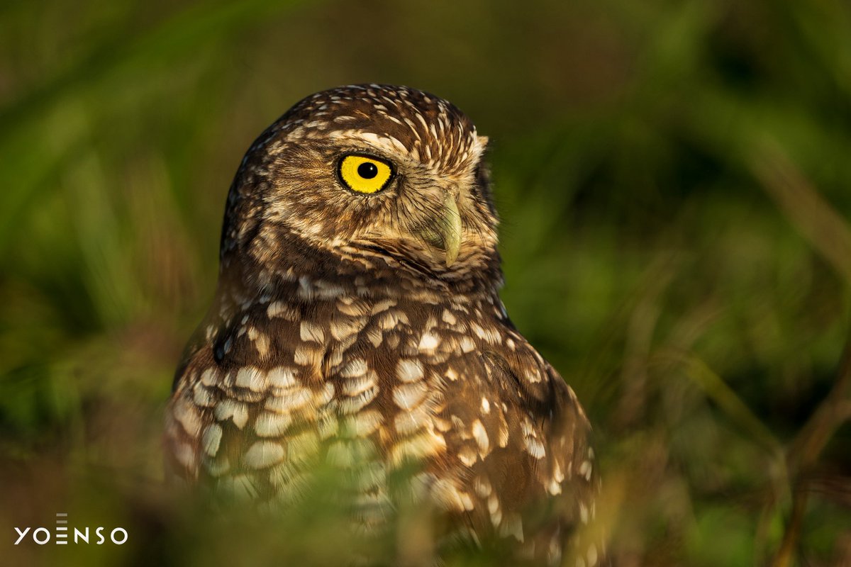 Will Huff tweet media