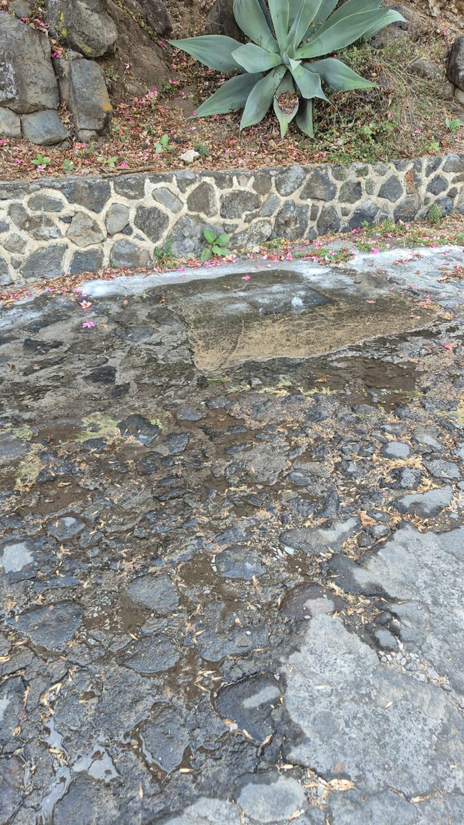 AdrianA_RivRO's tweet photo. Fuga de agua potable en Calle Florencia casi esquina con Alicia en la colonia Delicias. Se está tirando muchísima agua. @CuernavacaGob @jluriosteguis @SapacCuernavaca https://t.co/VO3oR6PEdZ