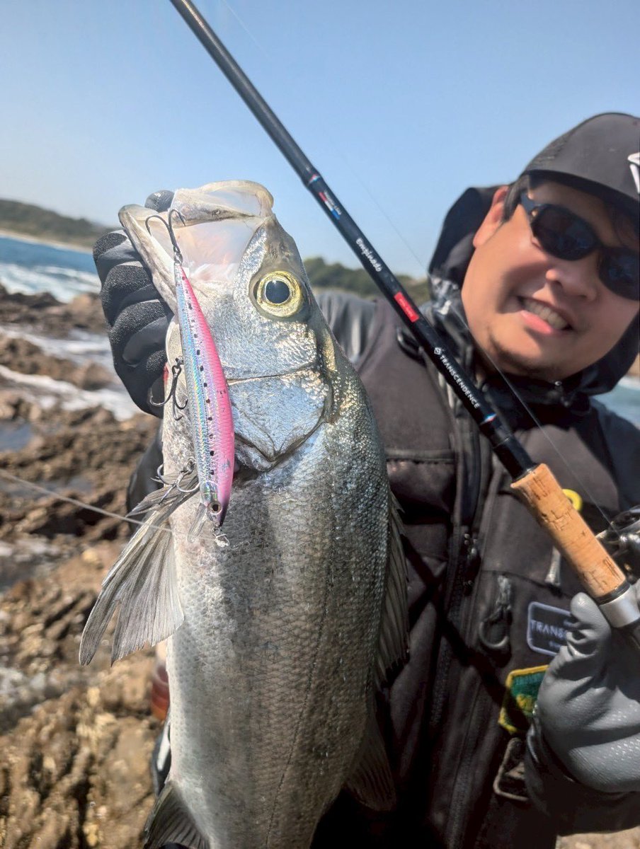最近はヒラスズキ釣りが楽しい！
そんでアスリートミノーがすごくいい感じよ！