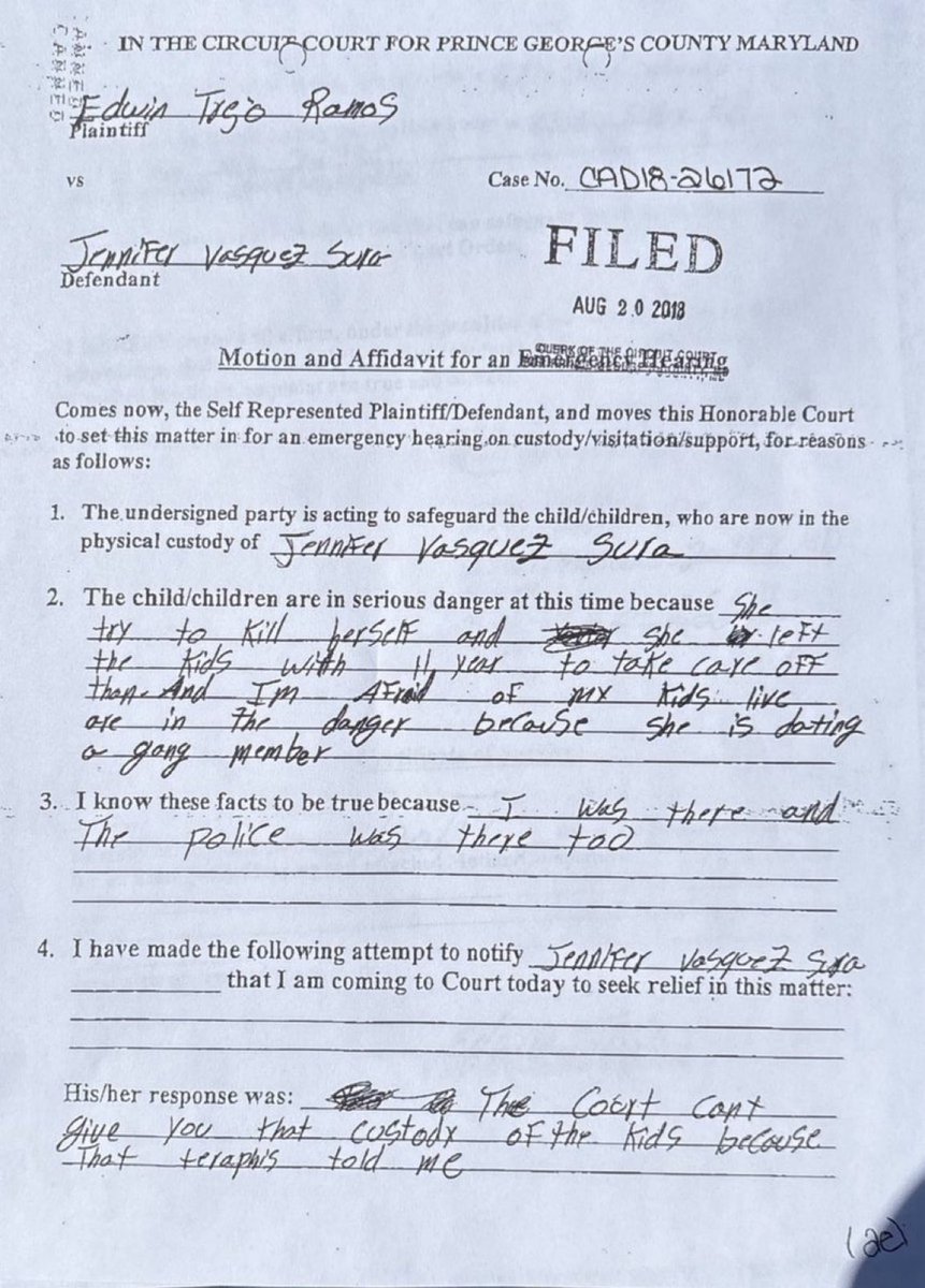 Wow. Would you look at that.. 

In 2018, Kilmar Abrego Garcia’s wife’s ex husband warned in court that his kids were in danger—because she in a relationship with a “gang member.”

This is the guy Democrats are protecting and fighting for.