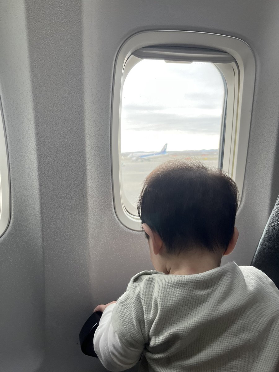 先週、僕が風邪ひいて先週末の北海道帰省が危うかと思ったけどなんとか回復！と思ったら私がまんまともらいまして、咳が止まりません🫠🫠
初めての飛行機、いい子ちゃんしてくれて助かった🥺✨
