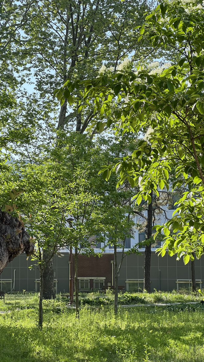 glitting_hoho's tweet image. 아름다운 봄을 봐 아름다워