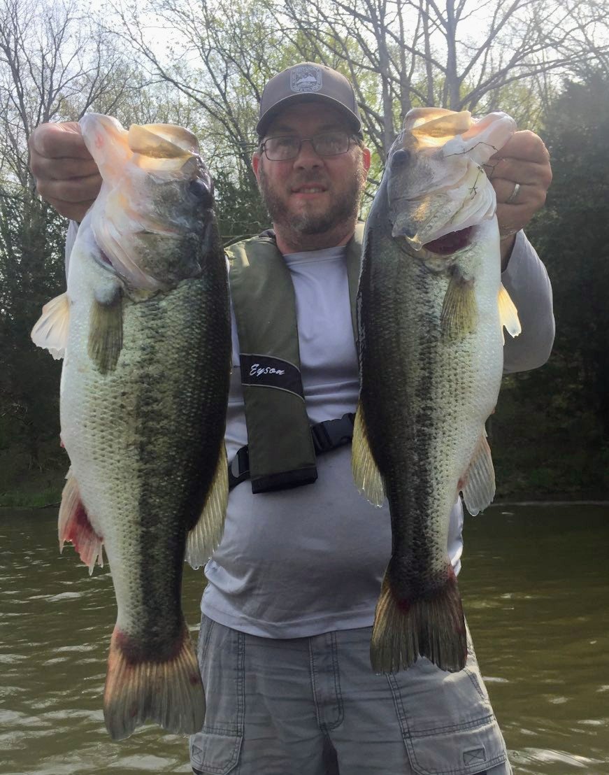We sampled good numbers of bass in and above the 12-15 inch protective slot limit at Elmer Davis Lake.  Anglers need to continue to harvest bass less than 12 inches on lakes managed with slot limits. Anglers participation in harvest is essential for slot limits to work.