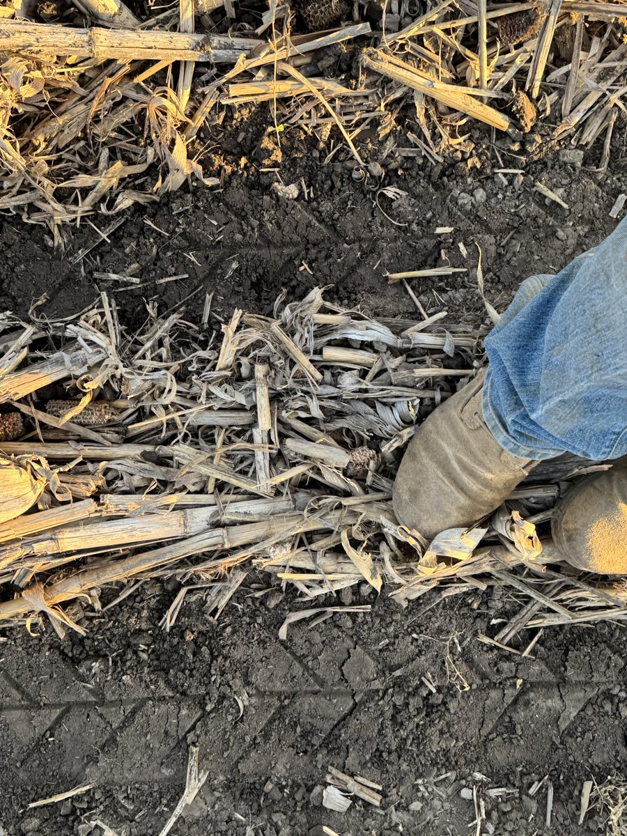 Matt Swanson tweet media