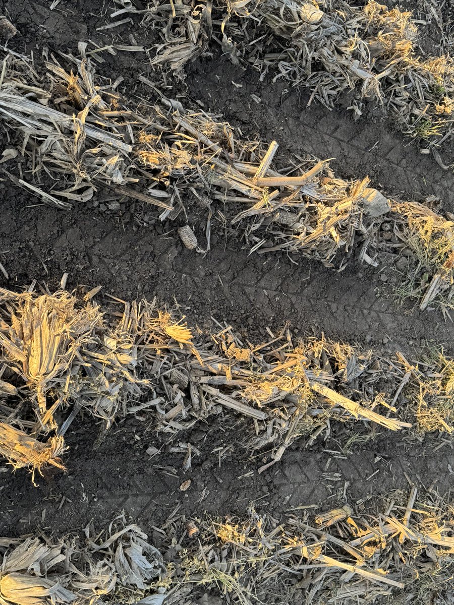 Matt Swanson tweet media