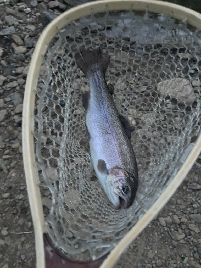 Justin Zimmerman tweet media