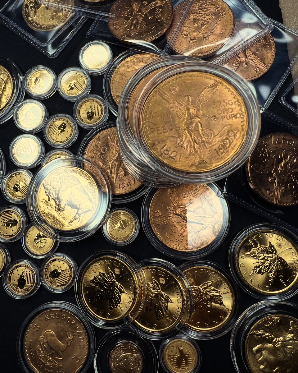 A symphony of wealth preservation : from iconic gold Centenarios and Libertads to Krugerrands, maples, and fractional. What are you stacking right now ? #staystacking #goldcoins