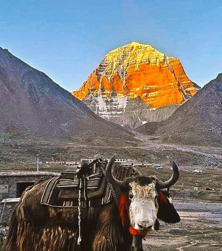 Can you reply me with “Har Har Mahadev” 🙏♥️