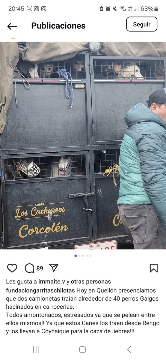 AngieAndraade's tweet photo. Tienen que modificar la Ley Cholito, ya no se puede permitir este tipo de maltrato de animales en Chile. Trasladaron galgos de Corcolén a Coyhaique en estas condiciones😡
Cony Capelli
Agricultura
Catalina Pérez
Nano Calderón
Tailandia
Boric
Coco Legrand
Crespo
Julio César
Gatica https://t.co/5CFa5ewbXn