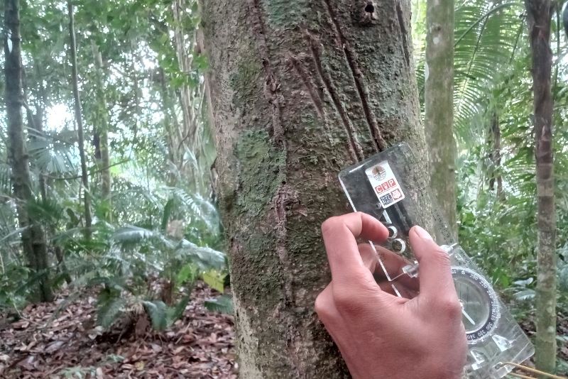 IntTigerProject's tweet image. Amazing wildlife signs in Sumatra! 🐅 Thanks to our supporters for protecting these forests and animals. This program is a collaboration with our partners at Centre for Orangutan Protection and the Ministry of Forestry 🌳