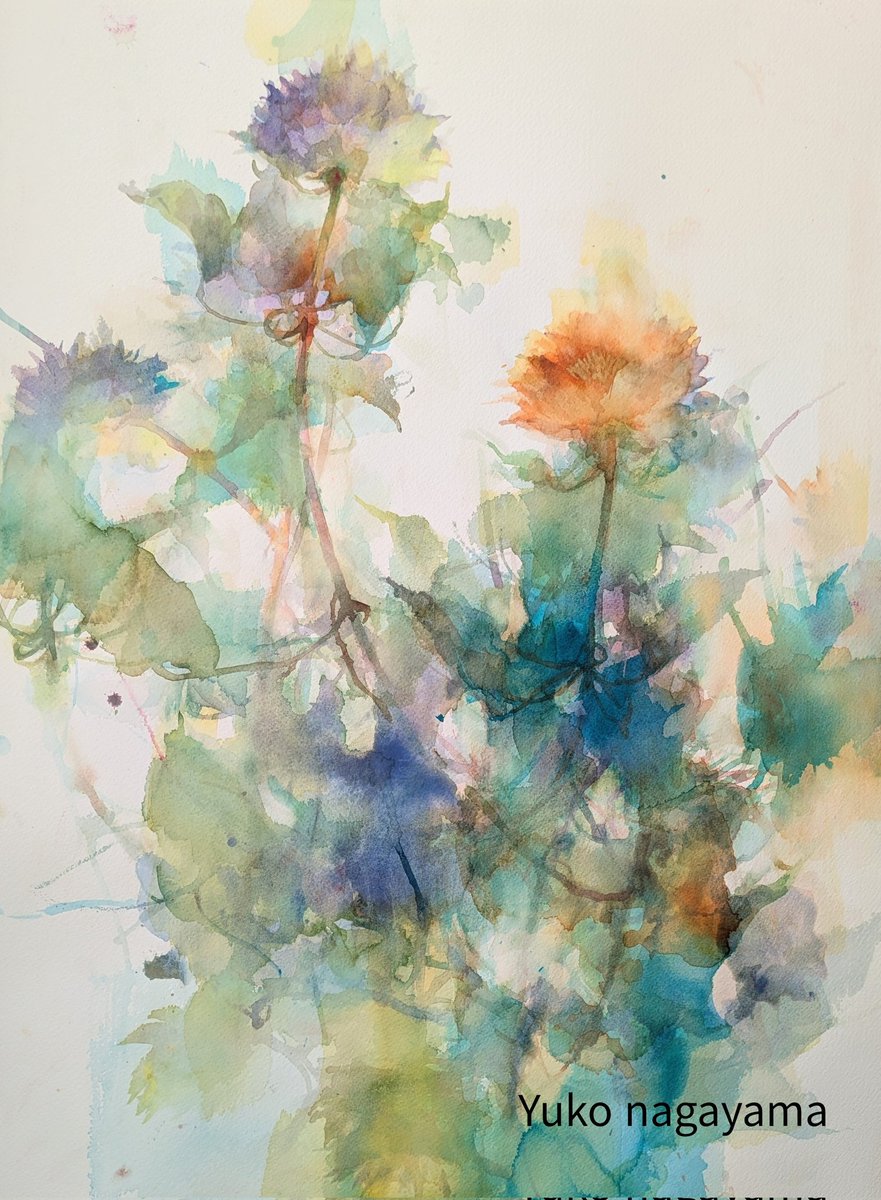 Post by Yuko Nagayama on X: クレマチス