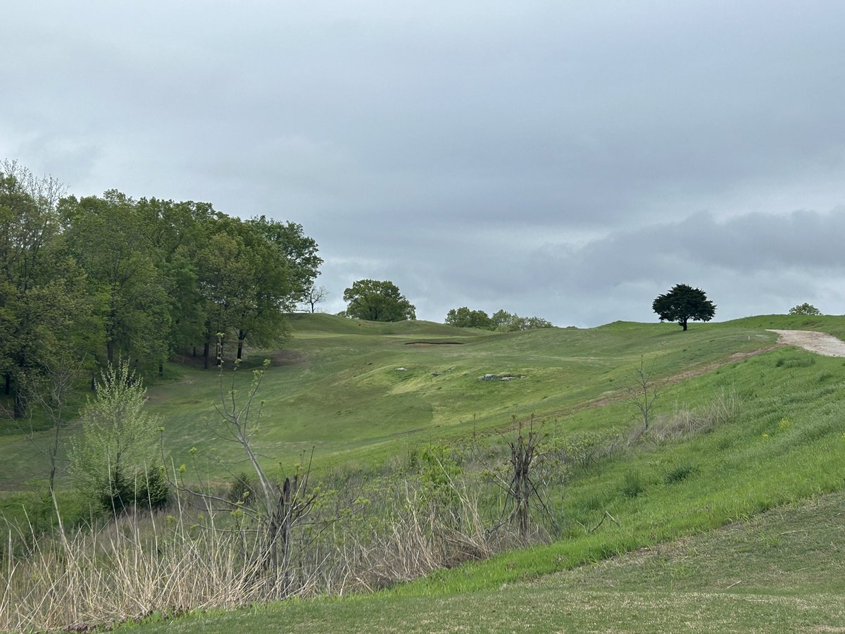 Mitch Mullen tweet media