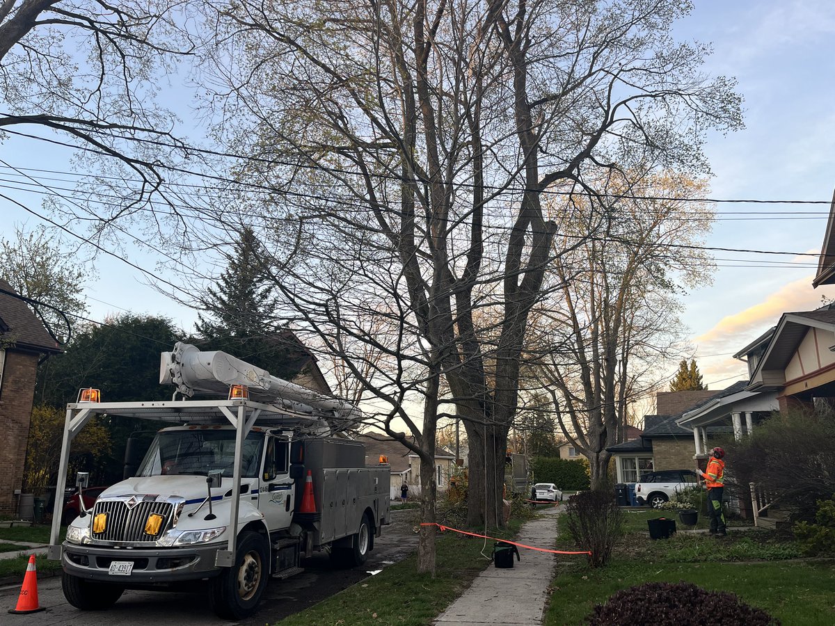 The @CityofGuelph forestry team is out dealing with the storm damage..