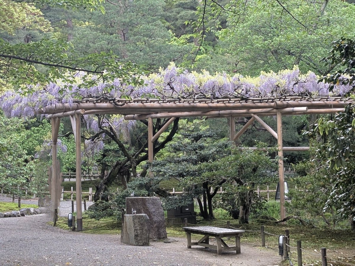 mkoike8's tweet photo. 石川県金沢市の兼六園へ観光旅行に行ってきました。
立派な庭園であり、四季折々の見どころがあるのでまた行ってみたいです。
#兼六園 #日本庭園 https://t.co/KExKrZdiHL