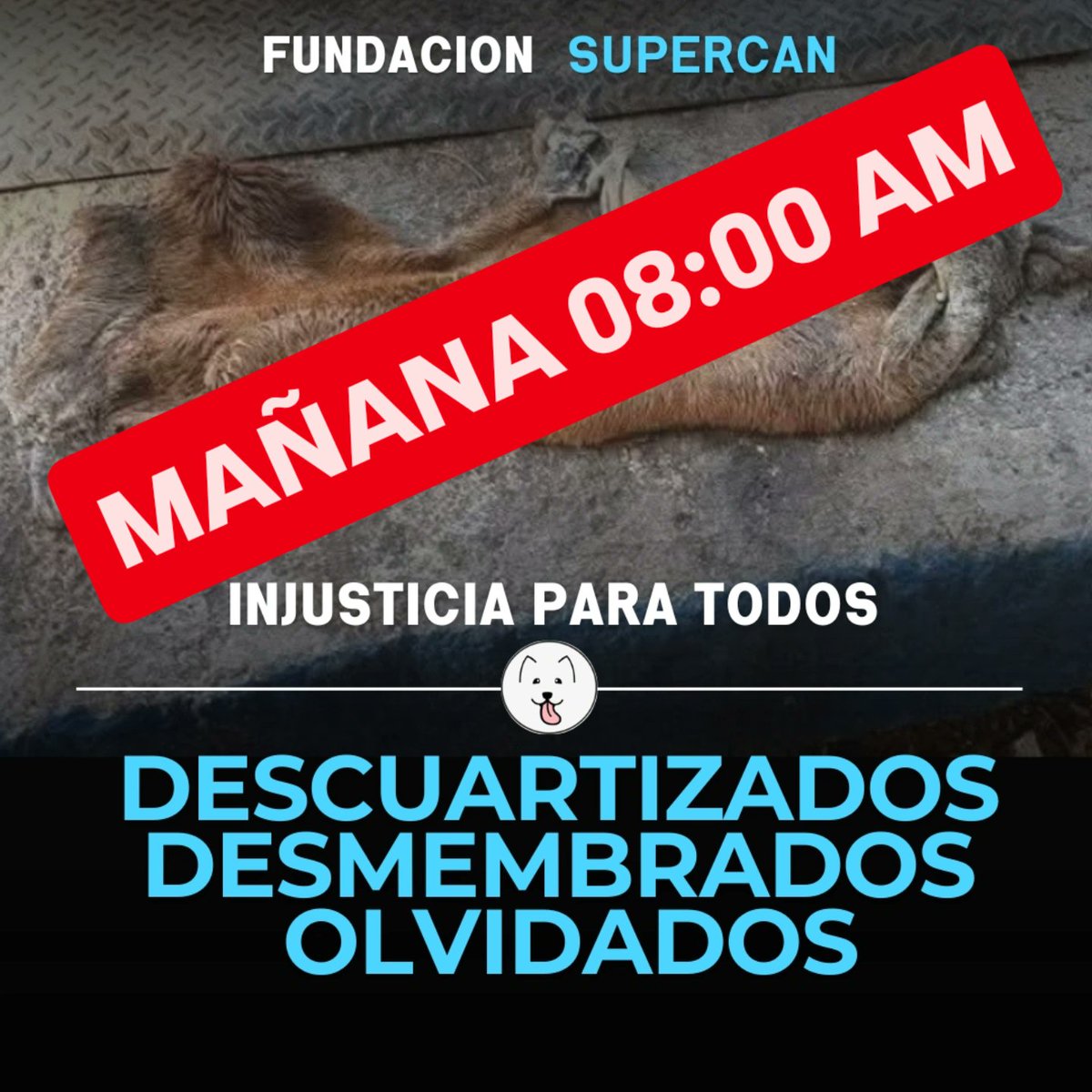 MAÑANA 8 AM EN EL IG DE FUNDACIÓN SUPERCAN