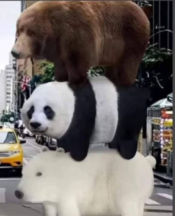 twaniimals's tweet photo. https://t.co/CyxWc5wigB