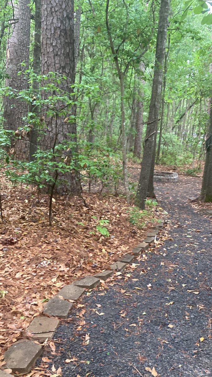 ev_doodles's tweet image. All inheritance games cards so far as of April 29th 2025 (all credits go to Jennifer Lynn Barnes) #inheritancegames #gamesuntold image has nothing to do with it I just like images anyways A THREAD