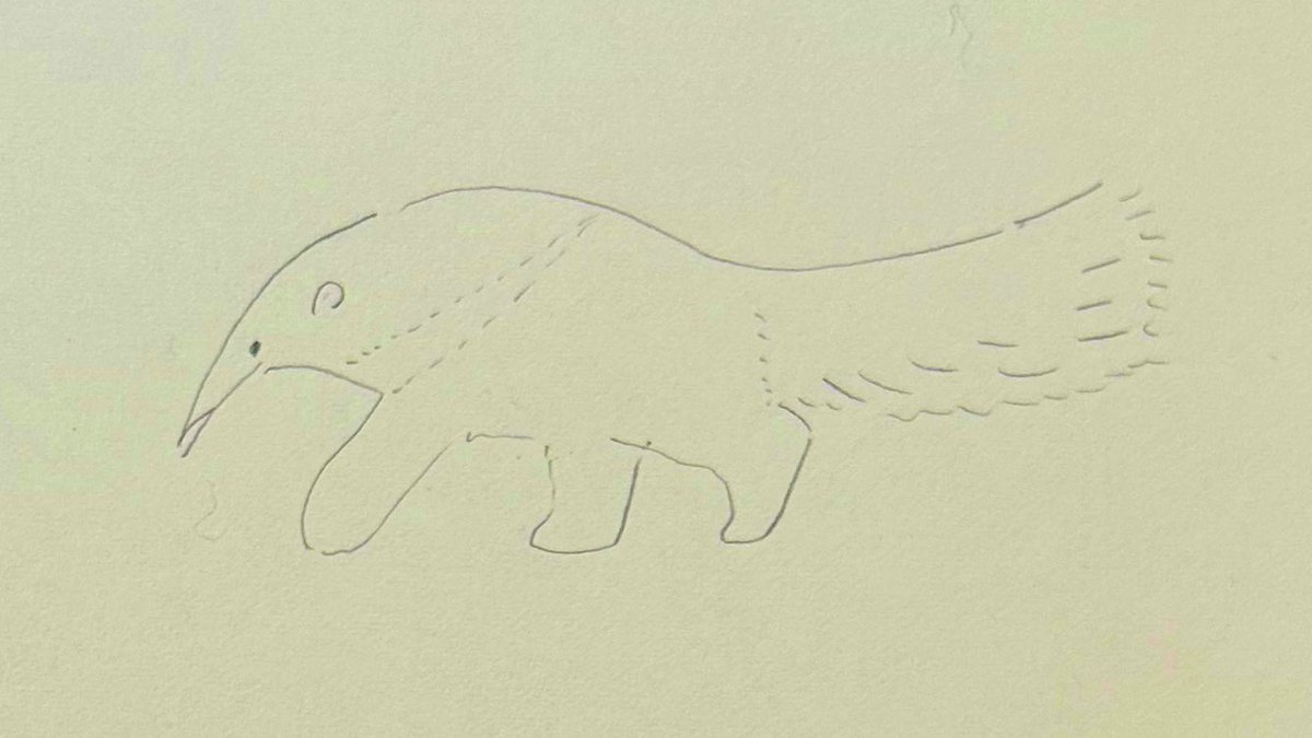 初めてオオアリクイを見ました