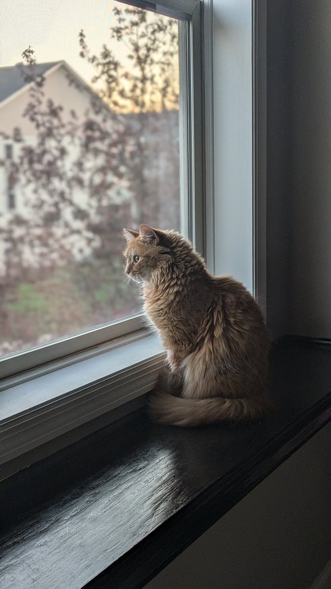 TacoGXP (@TacoGXP) / Posts / X