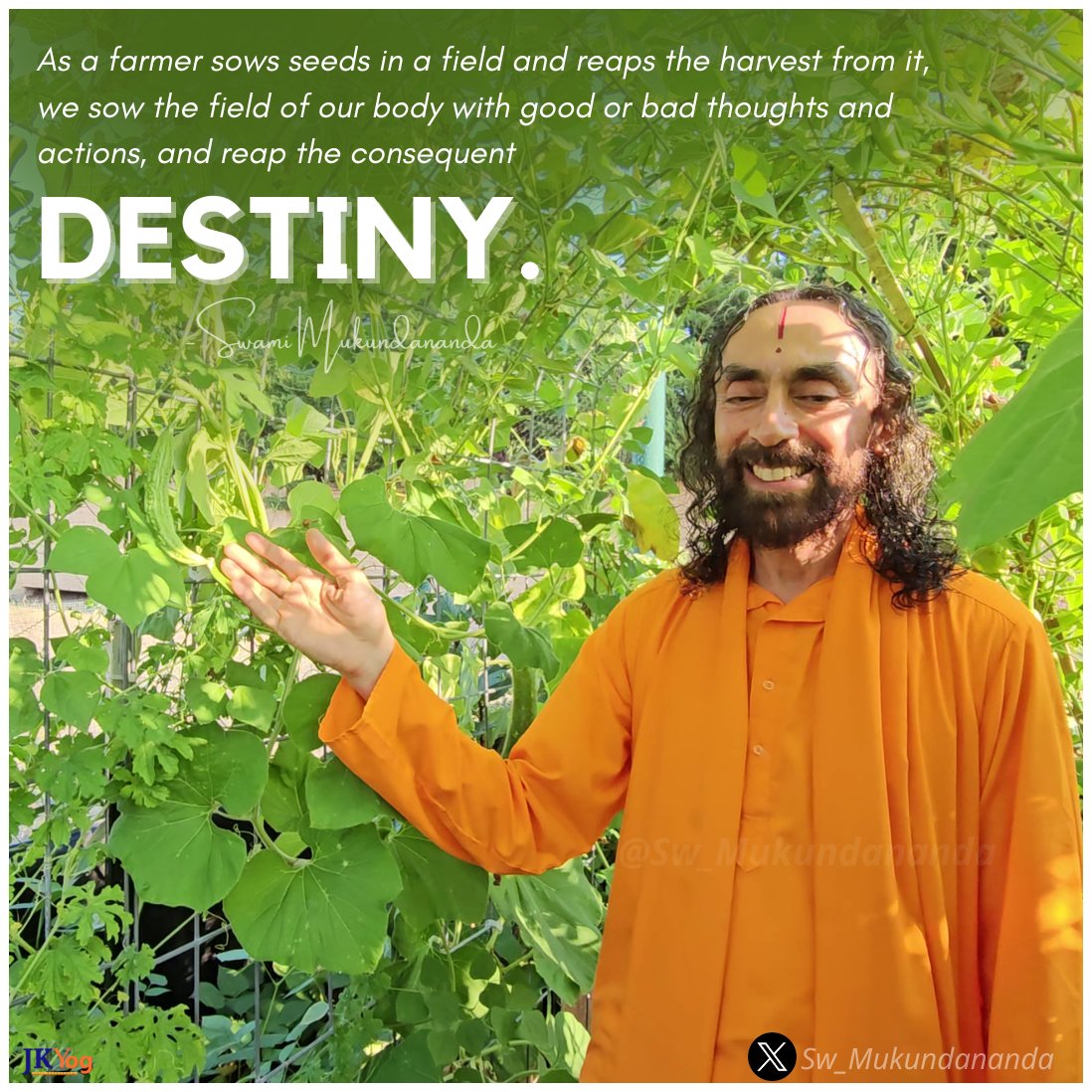Sw_Mukundananda's tweet image. As a farmer sows seeds in a field and reaps the harvest from it, we sow the field of our body with good or bad thoughts and actions, and reap the consequent destiny.
#SwamiMukundanandaQuotes #MindManagement #PowerOfThoughts