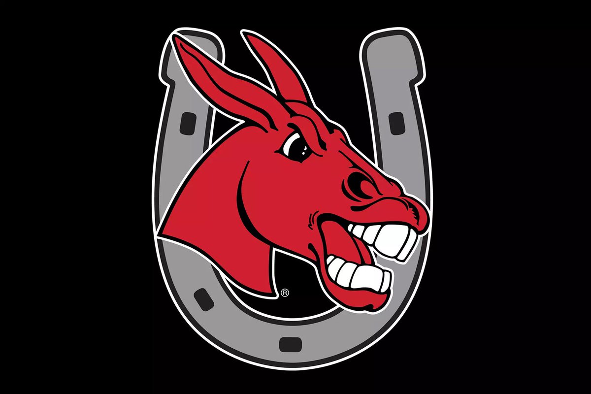 Blessed is an understatement. I have been given the opportunity to wrestle at the University of Central Missouri. God is so good. #gomules #DII