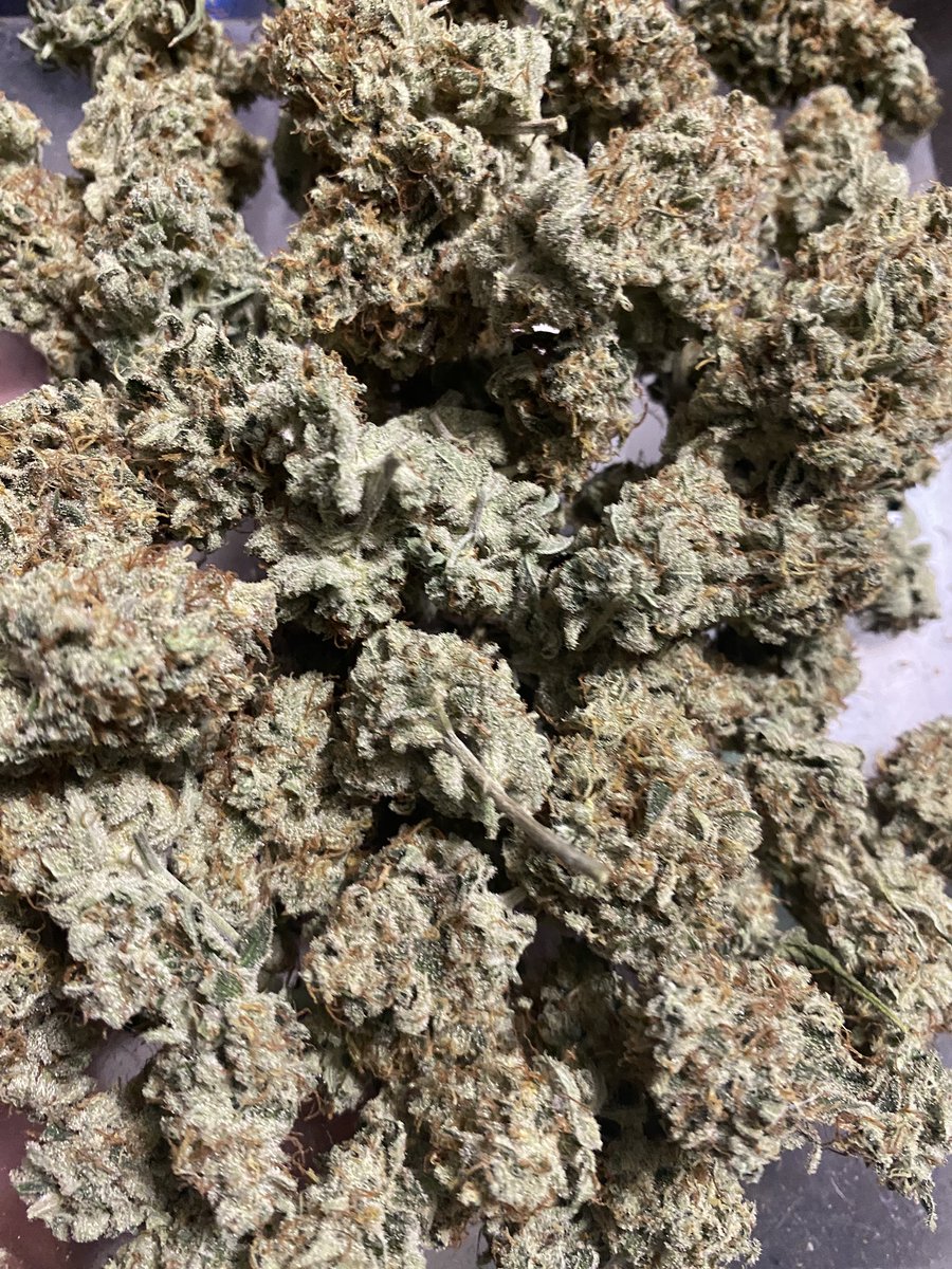 Beanz 2blazed (@beanz2blazed) on Twitter photo Lusty Lady is i great harvest every single time!!! <a href="/OfficialKINDLED/">KIND LED grow lights</a> <a href="/lotusnutrients/">Lotus Nutrients</a> <a href="/GorillaGrowTent/">Gorilla Grow Tent</a> <a href="/GrowStrongInd/">Grow Strong Industries</a> Lusty Lady is i great harvest every single time!!! <a href="/OfficialKINDLED/">KIND LED grow lights</a> <a href="/lotusnutrients/">Lotus Nutrients</a> <a href="/GorillaGrowTent/">Gorilla Grow Tent</a> <a href="/GrowStrongInd/">Grow Strong Industries</a>