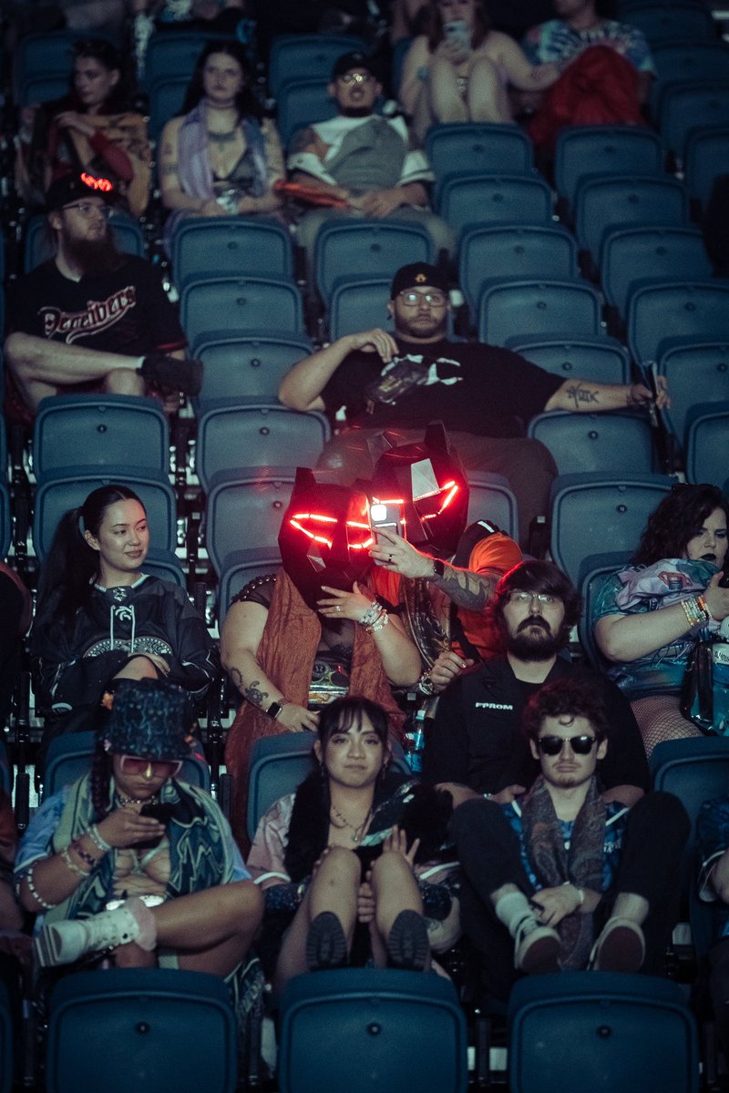 Black Tiger Sex Machine tweet media