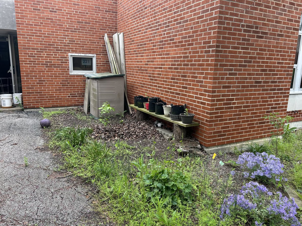 Ryan Link tweet media